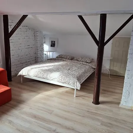 アパート The Attic Of The Painter Eugen Gasca