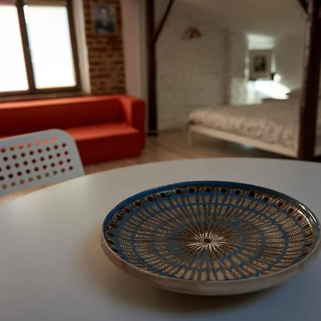 The Attic Of The Painter Eugen Gasca アパート