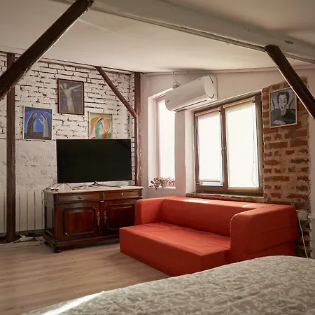 The Attic Of The Painter Eugen Gasca アパート ブカレスト