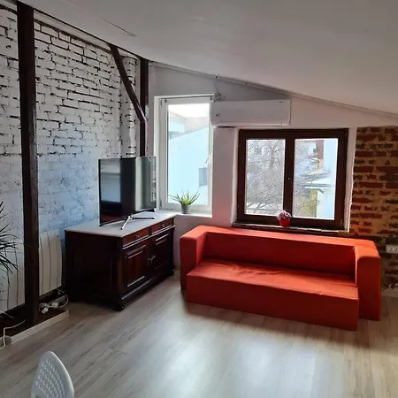 דירה The Attic Of The Painter Eugen Gasca בוקרשט