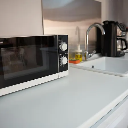 Apartment The Attic Of The Painter Eugen Gasca