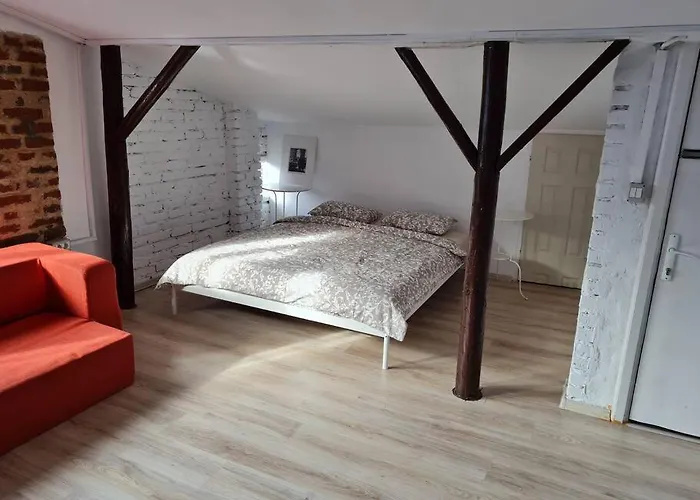 Apartament The Attic Of The Painter Eugen Gasca