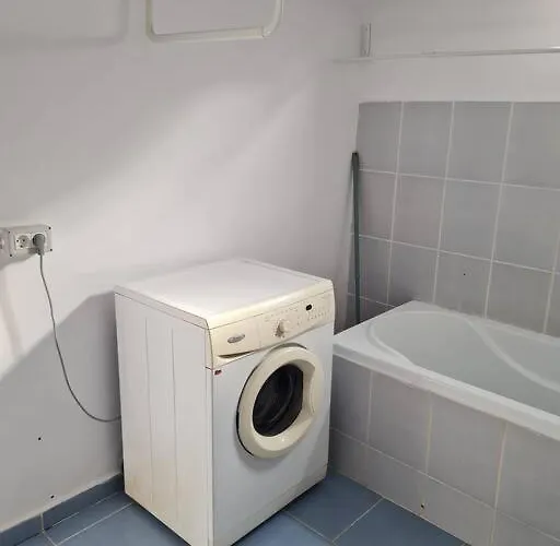 The Attic Of The Painter Eugen Gasca شقة