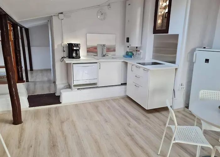 The Attic Of The Painter Eugen Gasca *