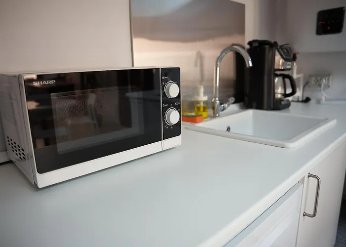 شقة The Attic Of The Painter Eugen Gasca