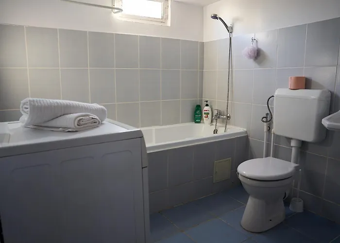 The Attic Of The Painter Eugen Gasca شقة *