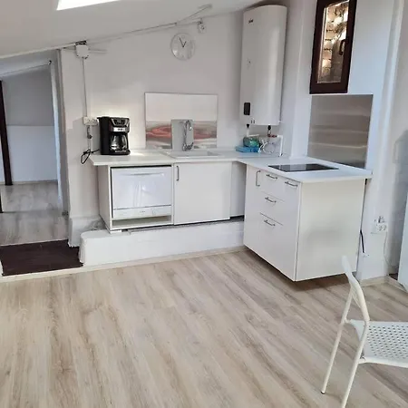 The Attic Of The Painter Eugen Gasca *